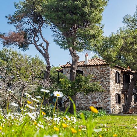 Elli Cottage Skopelos Exteriér fotografie