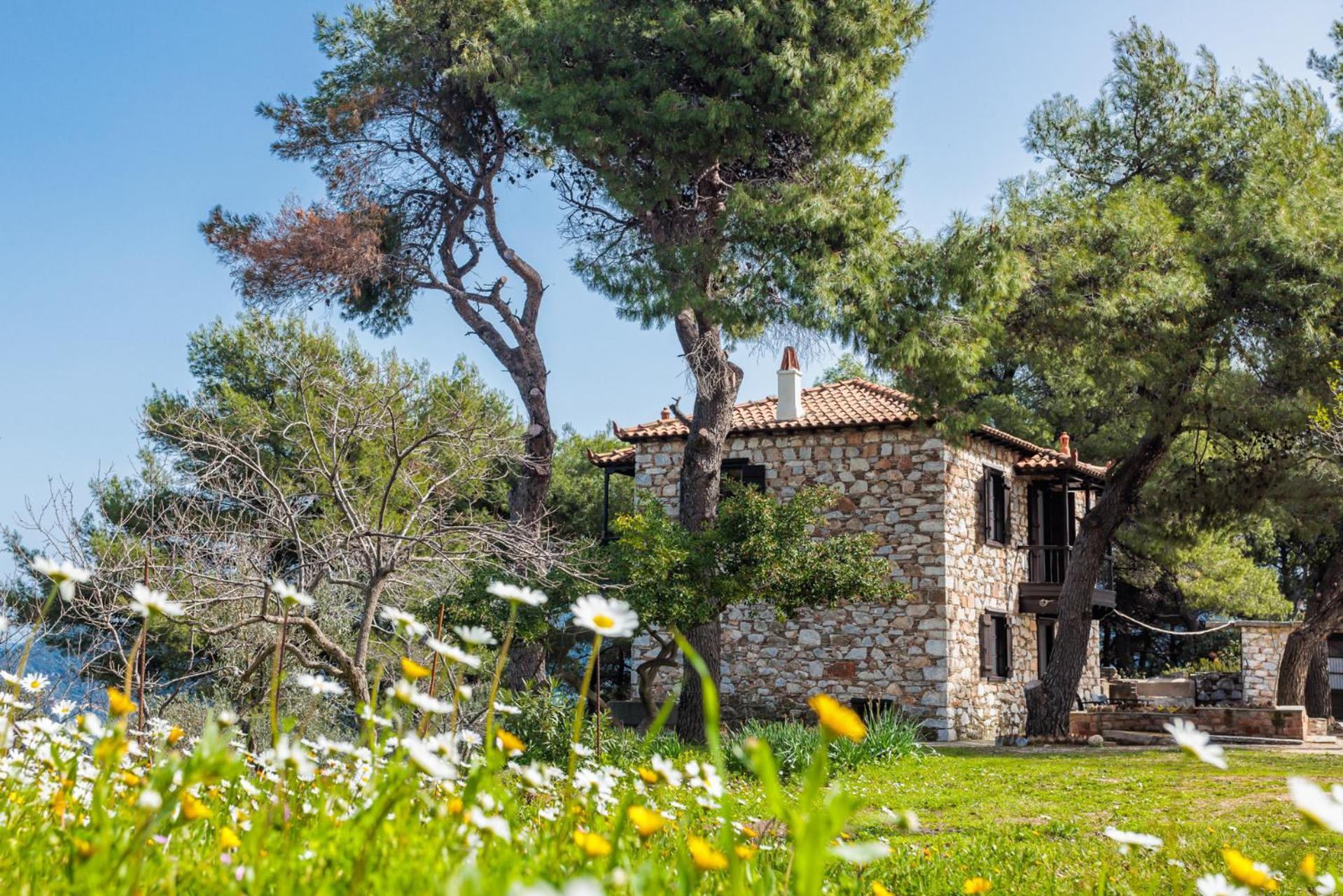 Elli Cottage Skopelos Exteriér fotografie