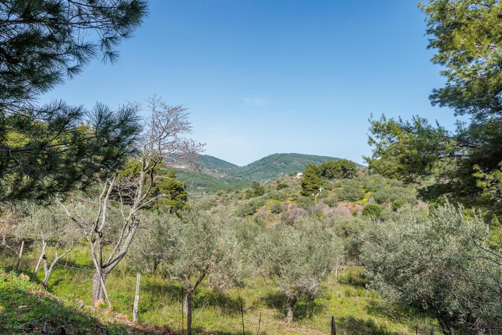 Elli Cottage Skopelos Exteriér fotografie