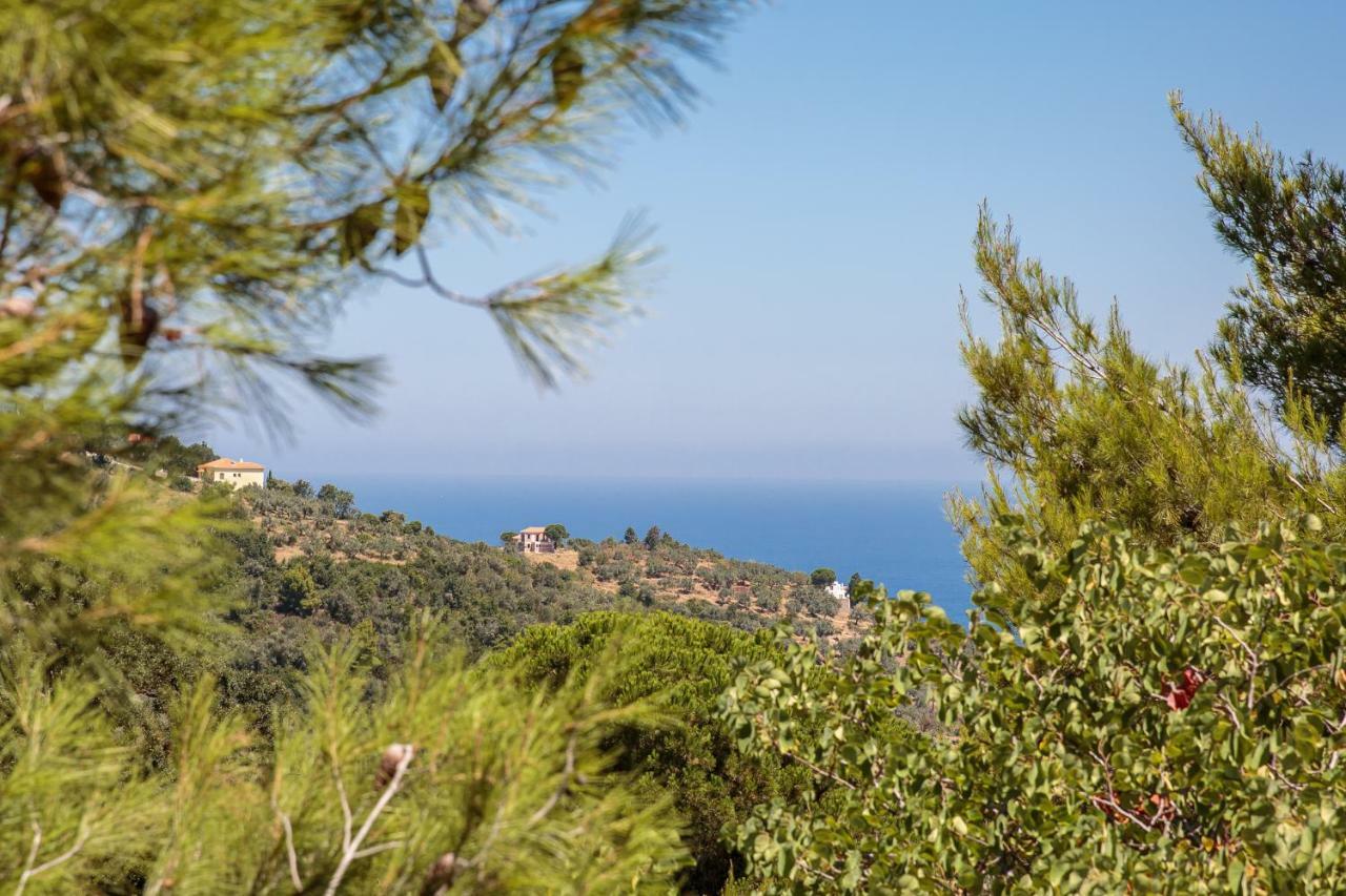 Elli Cottage Skopelos Exteriér fotografie