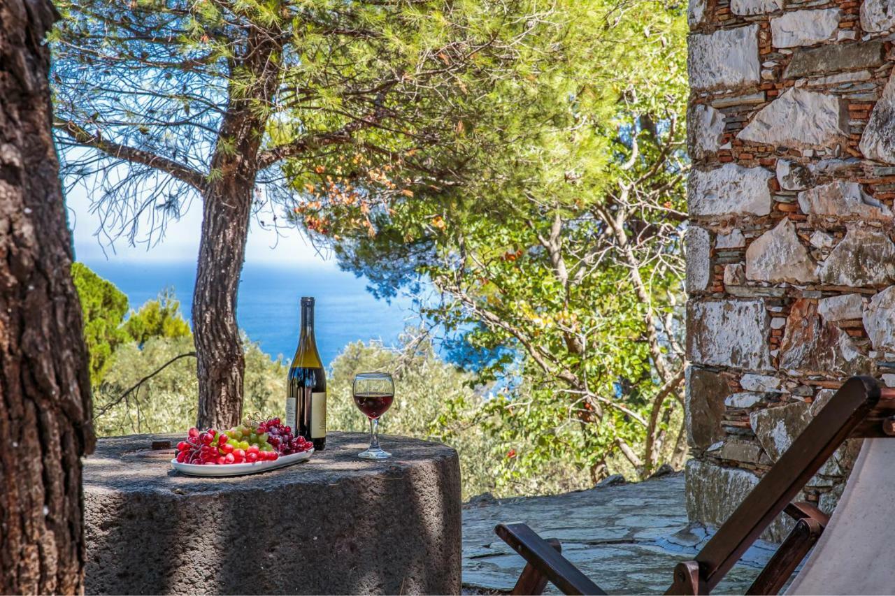 Elli Cottage Skopelos Exteriér fotografie